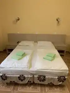 Аист - 36