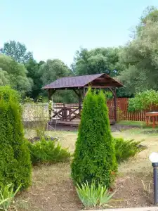 Сова - 1