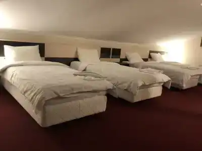 Vnukovo Resort - 5