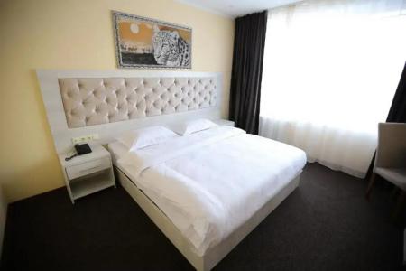 Altai Business - 1
