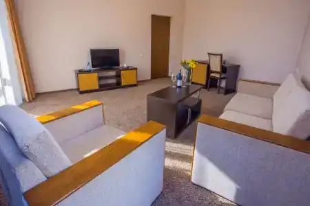 Ani Central Inn - 26