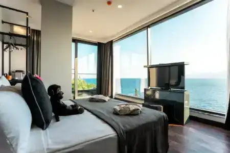Lucky Monkey - 0