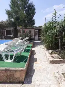 Оазис - 2