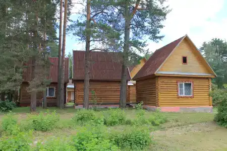 Орлинка - 19