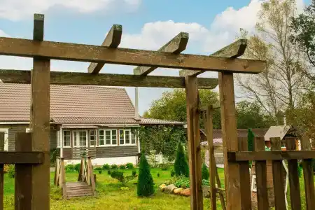 Боровики - 8