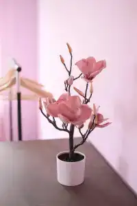 Уютный дом для отдыха - 6