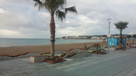 Altinersan - 11