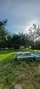Любимовская - 16