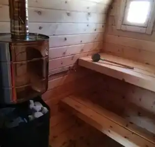 Шиповник - 46