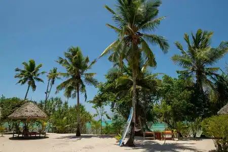 Tikitam Palms Boutique - 1