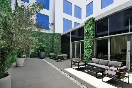 Lemon Tree, Jumeirah Dubai - 8