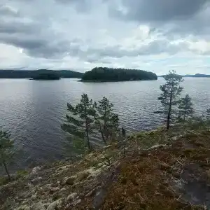 Купол сфера - 9