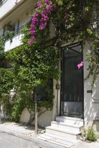 Athens Green - 10