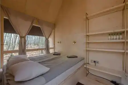 Клевер - 220