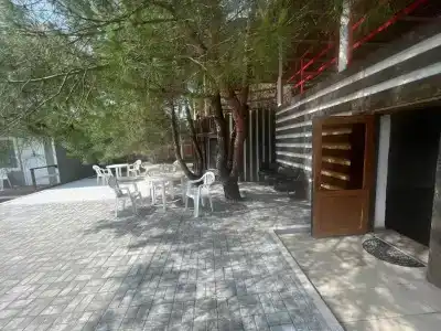 Forest Club - 7
