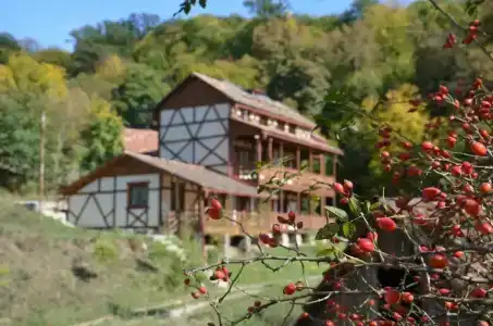 Ecokayan Dilijan Resort - 1