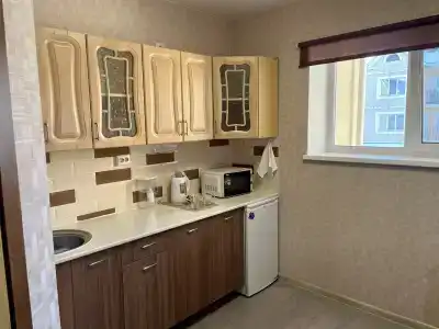 Квартира-студия на Широкой - 3