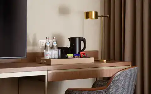 Swissôtel Wellness Resort Alatau Almaty - 73
