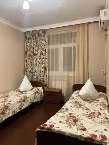 Кипарис - 18