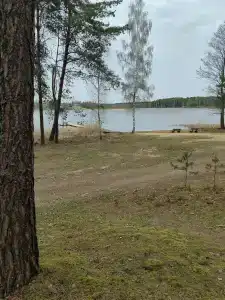Место - 25