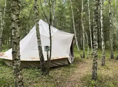 Звездный лес - 73