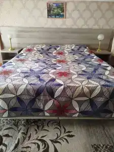 Мини Пансион - 15