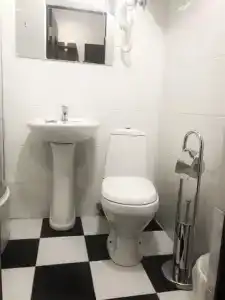 Райтекс - 110