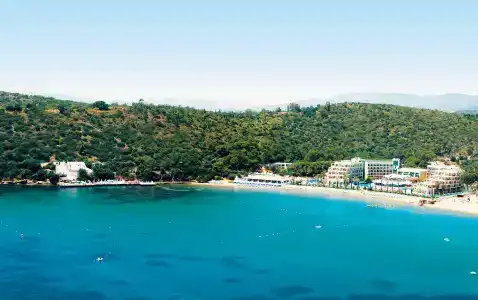 Paloma Pasha - 0