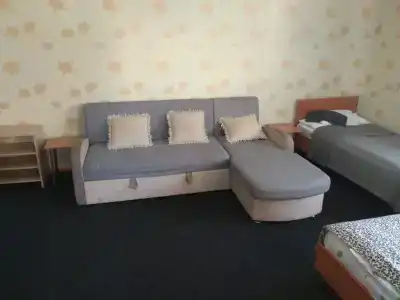 Подсолнухи - 20