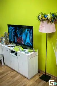 Габзов - 4
