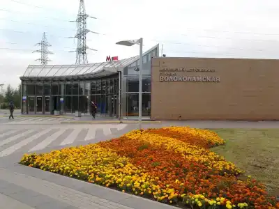 Гости - 2