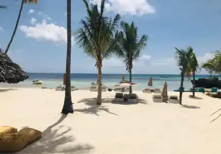 Fruit & Spice Wellness Zanzibar - 17