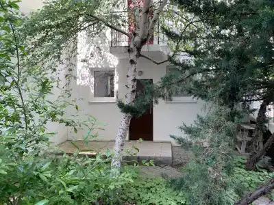 Амалия - 5