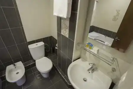 Ani Central Inn - 29