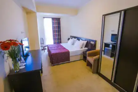Ani Central Inn - 20