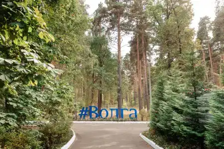Волга - 1