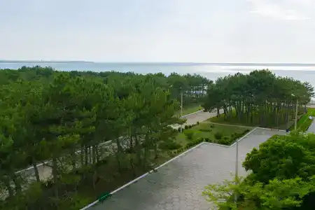 Волна Люкс - 5