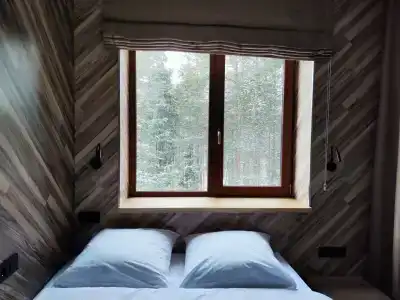 Зеленый Бор - 15