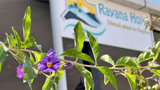 Rayana - 5