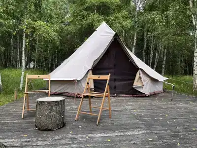 Звездный лес - 124