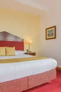 Golden Tulip Flamenco Cairo - 14