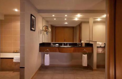 Hyatt Regency - 46