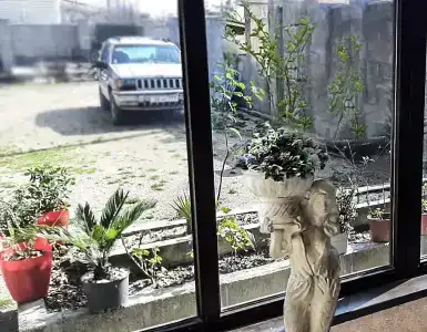 Sun Yard - 2
