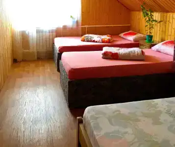 Баба Яга - 5