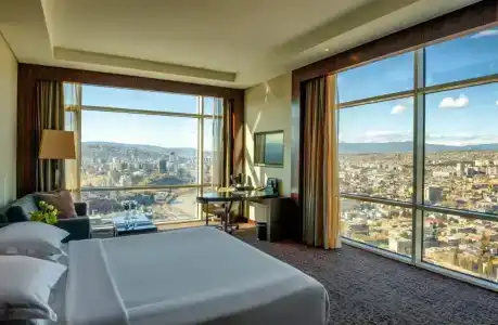 The Biltmore Tbilisi - 37