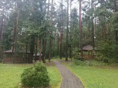 Заячья поляна - 21