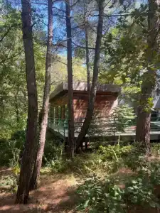 Комплекс Сосновый - 1