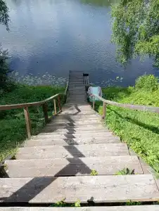 Лось - 30