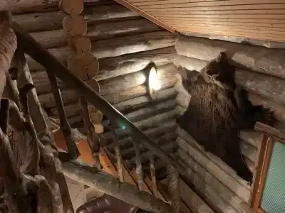 Лось - 6