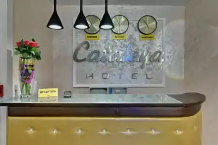 Каталея - 2